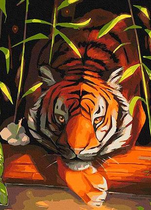 Картина по номерам с лаком artcraft "бенгальський тигр" 40*50 см 11618-ac