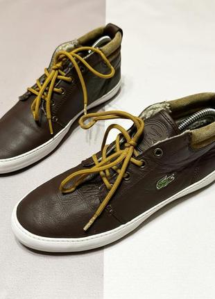 Кросівки шкіряні lacoste оригінал на овчині 41 розмір2 фото