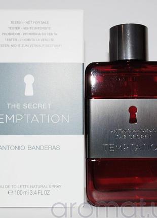 Antonio banderas the secret temptation