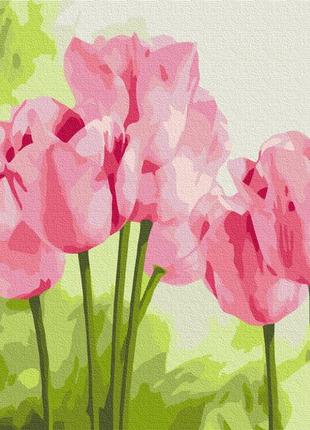 Картины по номерам "нежные тюльпаны" раскраски по цифрам.30*40 см.украина