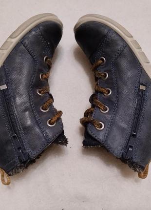Шкіряні демісезонні утеплені черевики хайтопи eco goretex 2505 фото