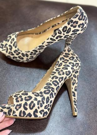 Mng animal print super sexy (& comfy!) pumps mango леопардові туфлі на каблуку хіт цього сезону5 фото