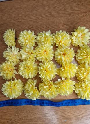 Головки цветов хризантемы3 фото