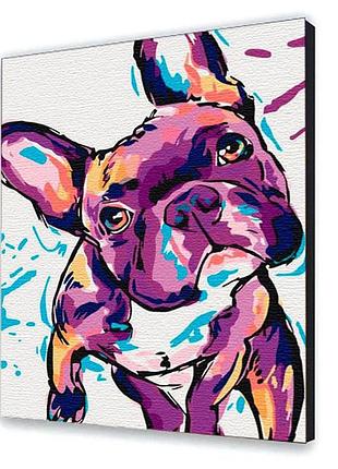 Картина за номерами "француз" 30*40 см 11667-nn