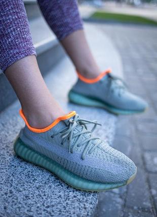 Жіночі кросівки policy adidas yeezy boost 350  люкс якість