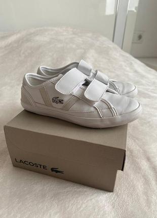 Кеди lacoste  дитячі