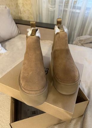 Ugg челси оригинал