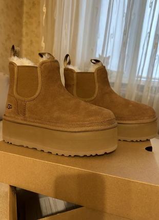 Ugg челсі оригінал
