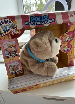 Інтерактивне щеня роллі люблю цілуватися my kissing puppy wrinkles rollie1 фото