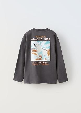 Реглан, лонгслив zara 2