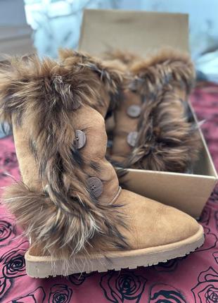 Сапоги ugg
