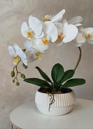 Орхидея искусственная. орхидея латексная №14.