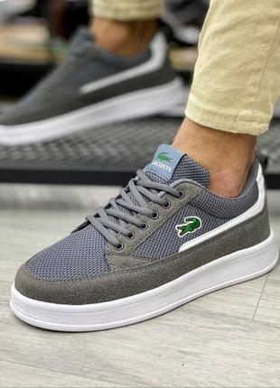 Чоловіче взуття lacoste