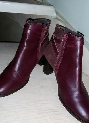 Betty london- чудові демісезонні шкіряні черевики 40 розміру (26,7 см)2 фото