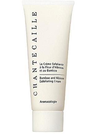 Крем для лица с гибискусом и бамбуком
chantecaille hibiscus and bamboo exfoliating cream1 фото