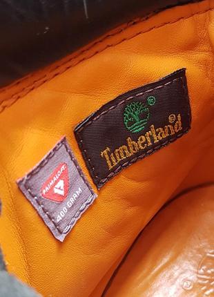 Timberland primaloft 6-inch premium boot зимові черевики нубук оригінал (41.5)10 фото