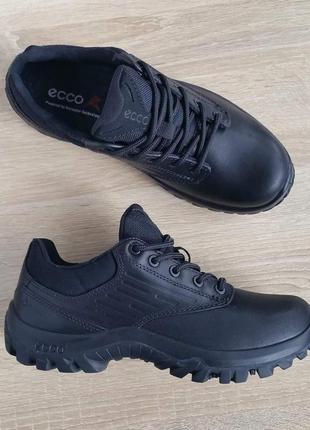 Кроссовки ecco professional gore-tex3 фото