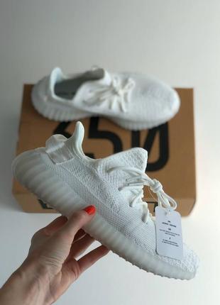 Жіночі кросівки adidas yeezy boost 350  люкс якість