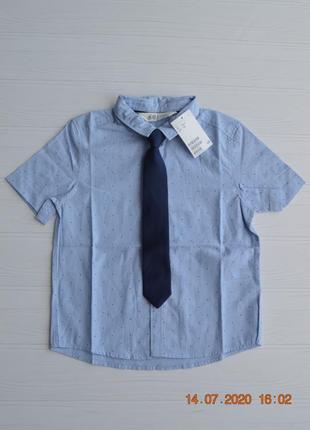 Нова рубашка з галстуком h&m розм. 5-6 р/1163 фото