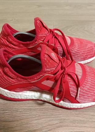 Кросівки adidas pure boost