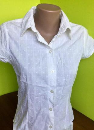 Блуза белая на пуговицах короткий рукав с воротником cherokee из хлопка3 фото