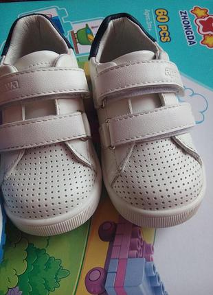 Кросовки кеди