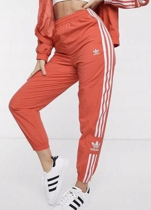 Спортивные джоггеры adidas1 фото