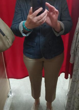 Штани жіночі