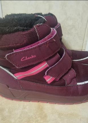 Черевики clarks