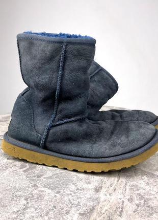 Ботинки зимние ugg, синие, кожаные,3 фото