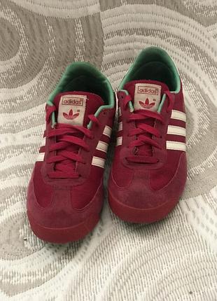 Кросівки від adidas