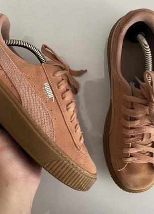 Puma basket platform clearance animal