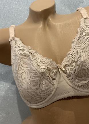 Бюстгальтер, бюстик, ліфчик