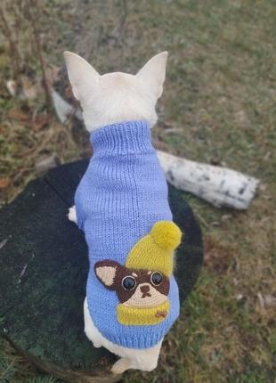 Вязаный свитер для маленькой собачки.