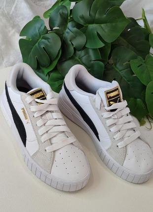 Puma2 фото