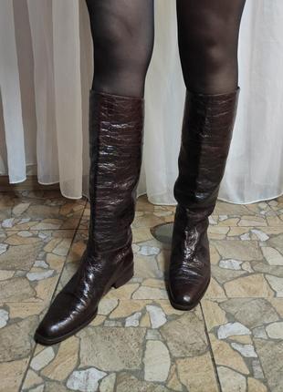 Стильні демісезонні сапоги із натуральної шкіри