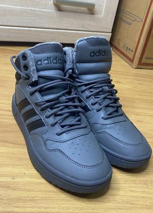 Adidas hoops  gz6683