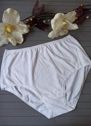 Високі бавовняні трусики на плоских гумках