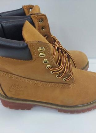 Класичні ботинки timberland