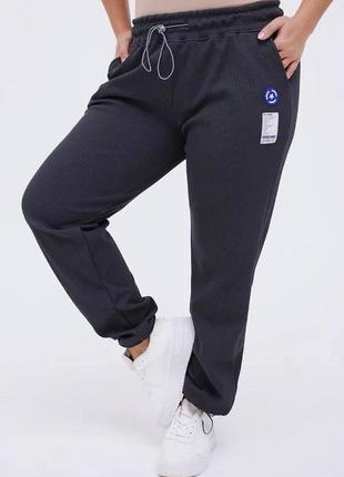 Стильні спортивні штани з нашивкою унісекс на флісі рр 46-601 фото