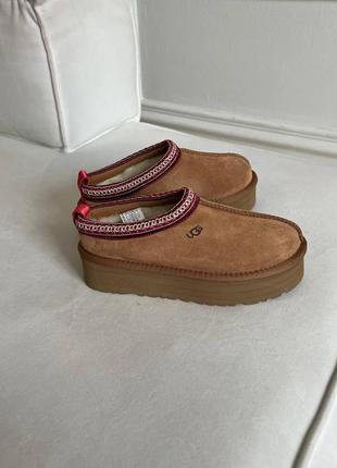 Черевики ugg tasman новинка3 фото