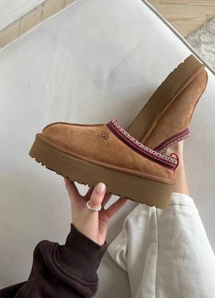 Черевики ugg tasman новинка6 фото