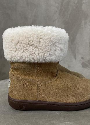 Сапожки ugg 3