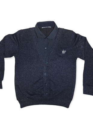 Обманка темно синяя