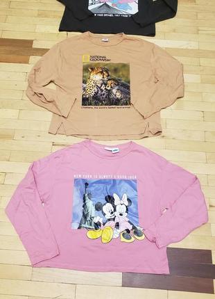 Реглани зара zara на 11-12  років