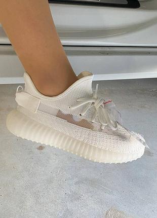 Жіночі кросівки policy adidas yeezy boost 350  люкс якість
