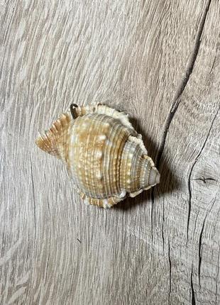 Ракушка брелок2 фото