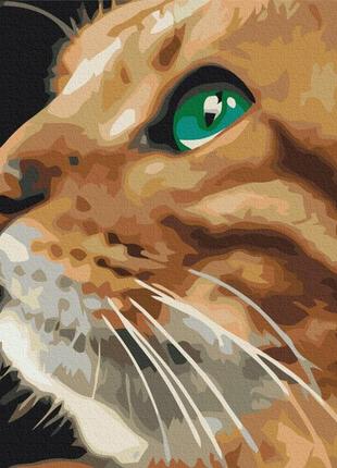 Картина за номерами погляд рижулі
bs52377