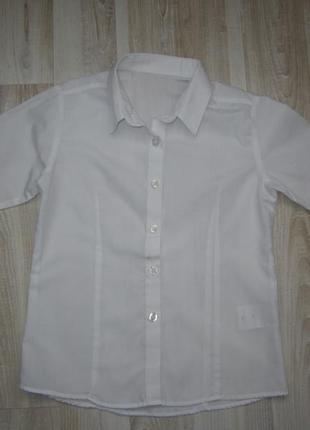 Белая рубашка блузка