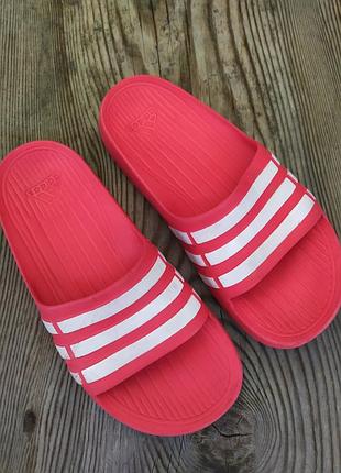 Шльопанці adidas оригінал